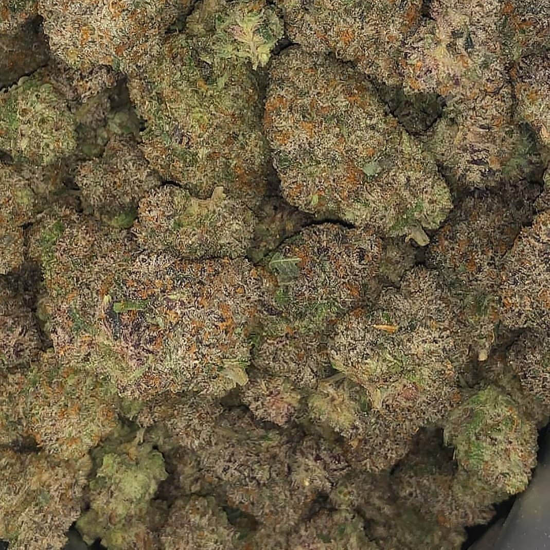 WilliambrownG's tweet photo. Real 🔥🔥 #florida #floridaweed #cannabis #florida420 #marrijuana https://t.co/796nZR7WMm