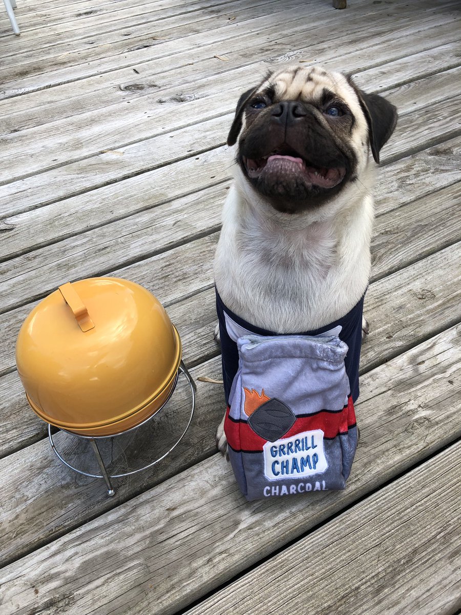 ramsaytheepug's tweet photo. Summer is here. Time for Cook outs and fun in the sun. 
*
*
*
#summer2019 #summerfun  #cookout #grill  #hotdogs #hamburgers #hotoutside #staycool #pug  #puglife🐾 #pugoninstagram #fawnpug @barkbox  @Target https://t.co/5mH1bwQxrW
