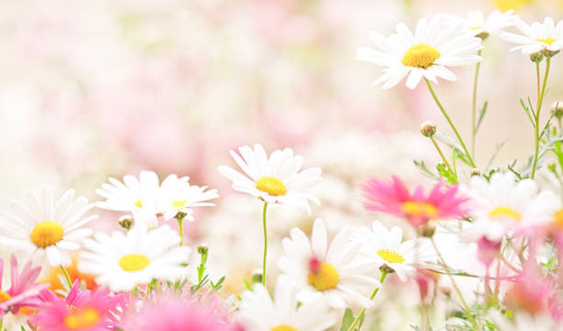 生まれた時…
私たち皆んな
何んにも持たずに来た😌

でも、
目に見えるものは何もなくても
目に見えない贈り物は
たくさん持ってきたね💕