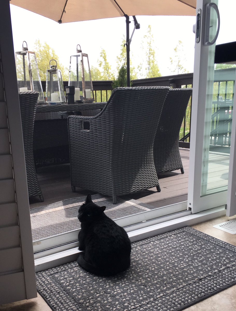 BigClumsy's tweet photo. Hud isn’t feeling well. 🐈 🤮 https://t.co/VkwBNHopFP