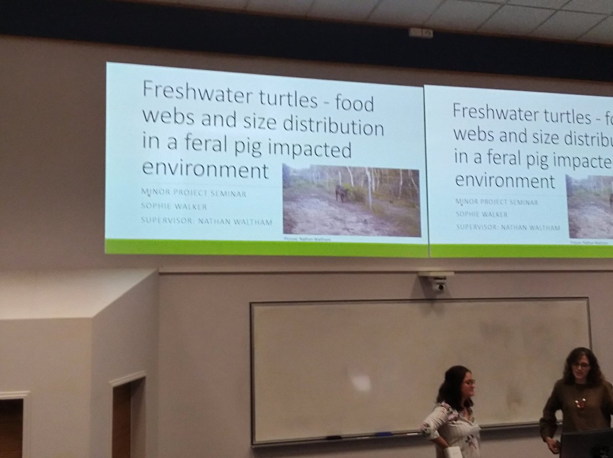 To fence or not to fence... Great talk by Sophie Walker Masters student @jcu on feral pig impacts on freshwater #turtles in #wetlands in #NorthAustralia @NESPNorthern @nesptwq @TropWATER