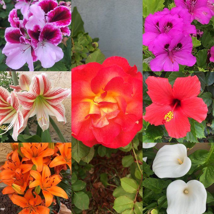 Just went outside today. 😇 https://t.co/I2NdumYaVX<a href="/tag/trans"class="tags"><span>#trans</span></a>