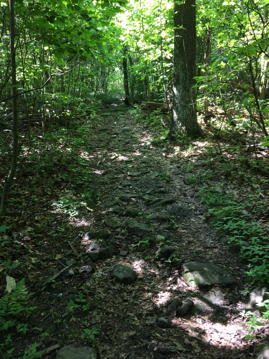 Training @Frenchcreekstatepark