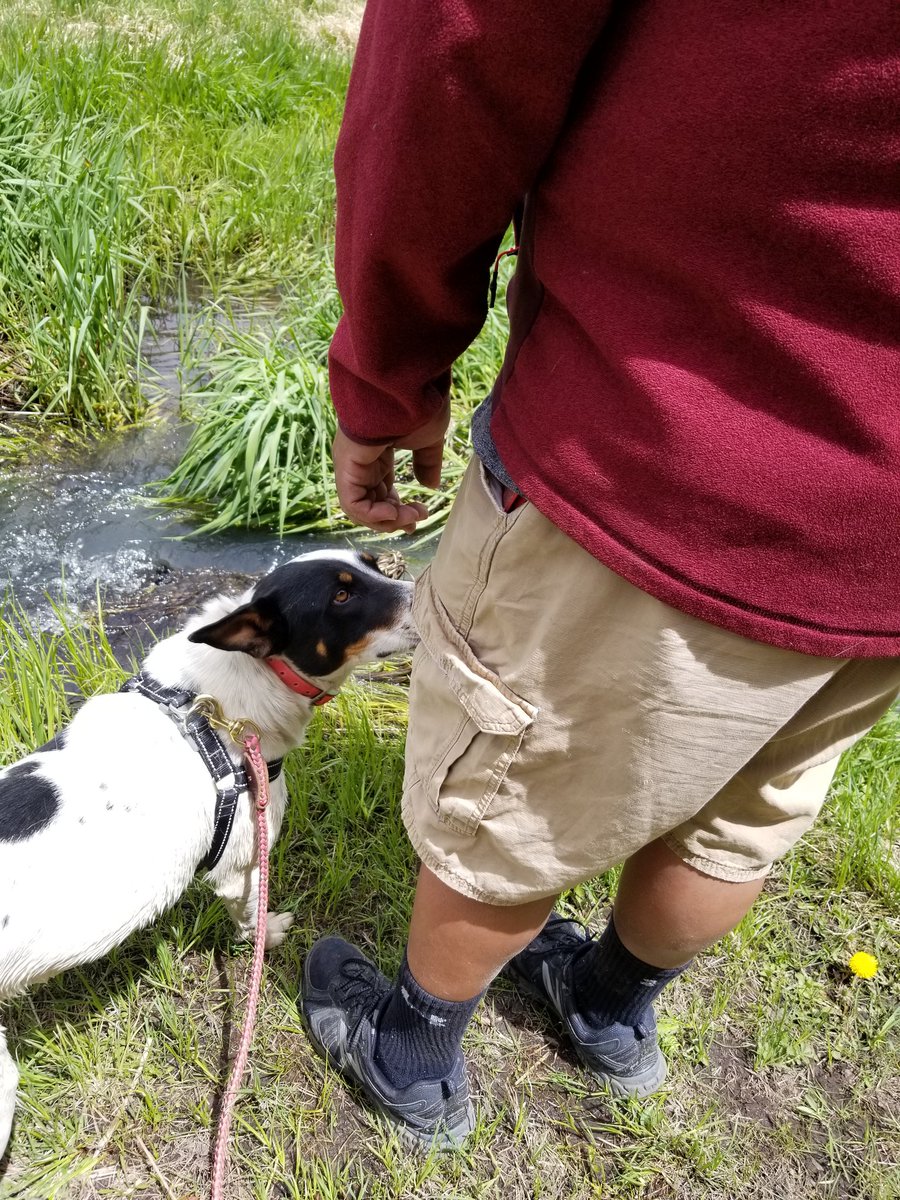 NJUNOakie's tweet photo. Went day fishing up in the Jemez Mtns. 1st time our doggy catahoula has been out to the Mtns. She loved it. Fishing was great. Family time was amazing. Drive was awesome too. #gottagetaway #catahouladog #shouldvecampedout #dayfishing https://t.co/QGjrXWb5Rq