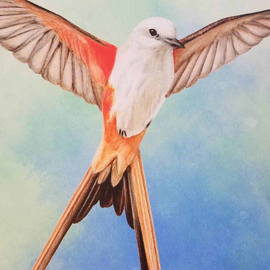 Heather Cray 🌱 tweet media