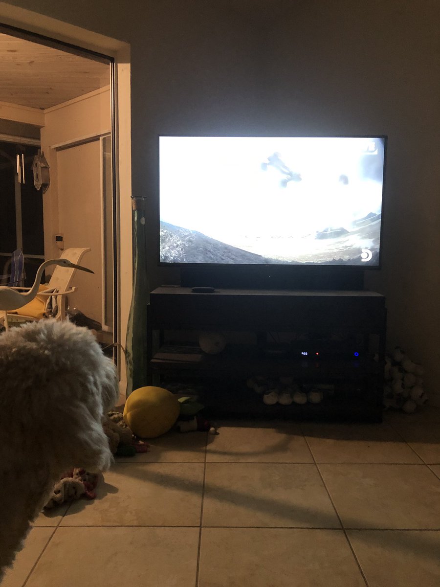 jetbluebob's tweet photo. #MonsterJumpLIVE - Marley watched the jump too!! https://t.co/2xAmUC7niQ