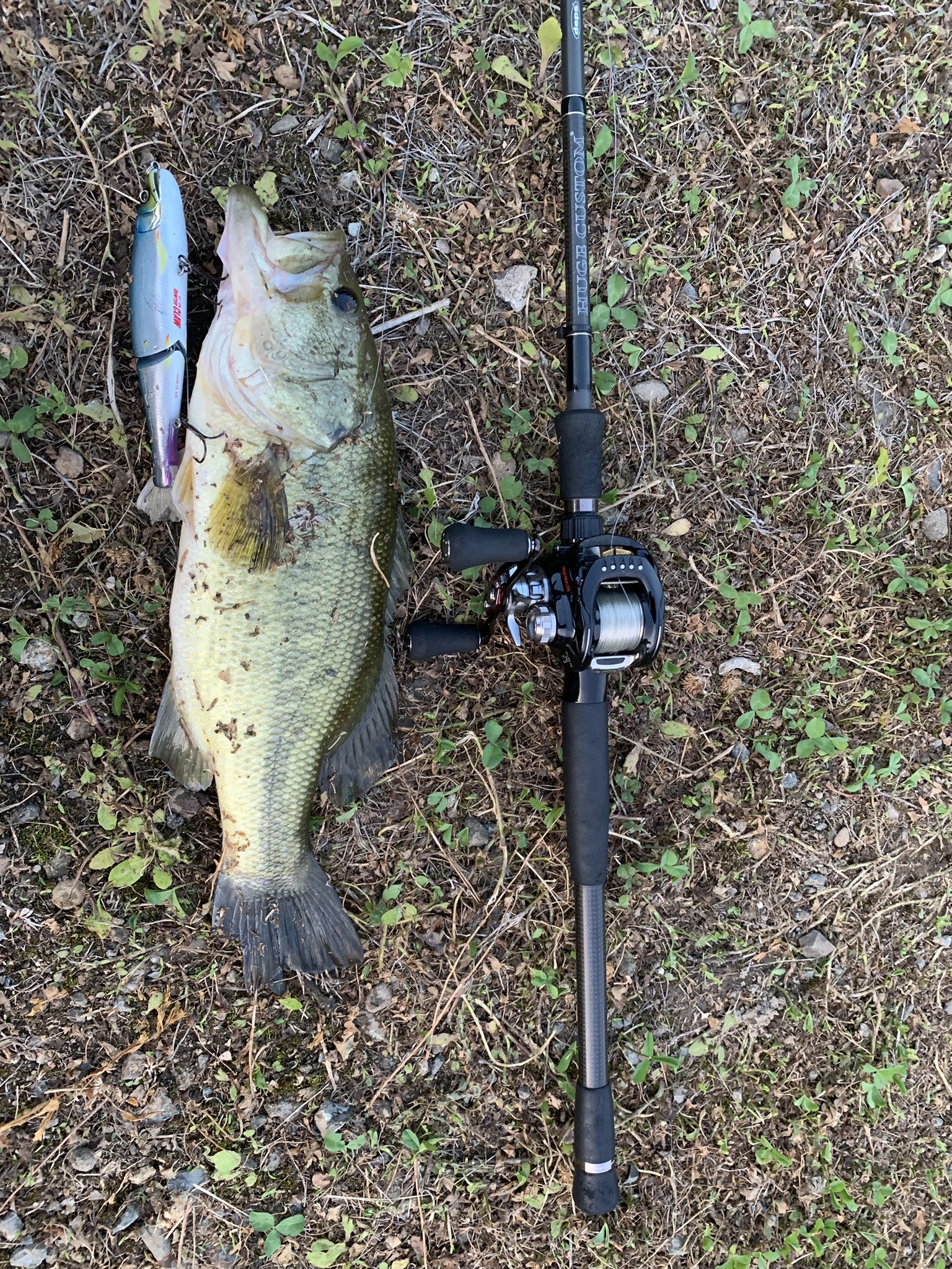 デプス ヒュージカスタム76 deps HUGE CUSTOM（ヒュージカスタム