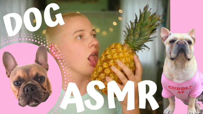 ✨🐽✨  https://t.co/zyNCkmYwj9 https://t.co/I648AfZkQA