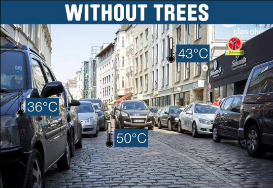 Spot the difference? 🌳🌳🌳 >> act.gp/2ErSI3b