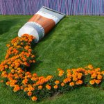 こぼれた系？新たな花壇アレンジがおしゃれすぎる