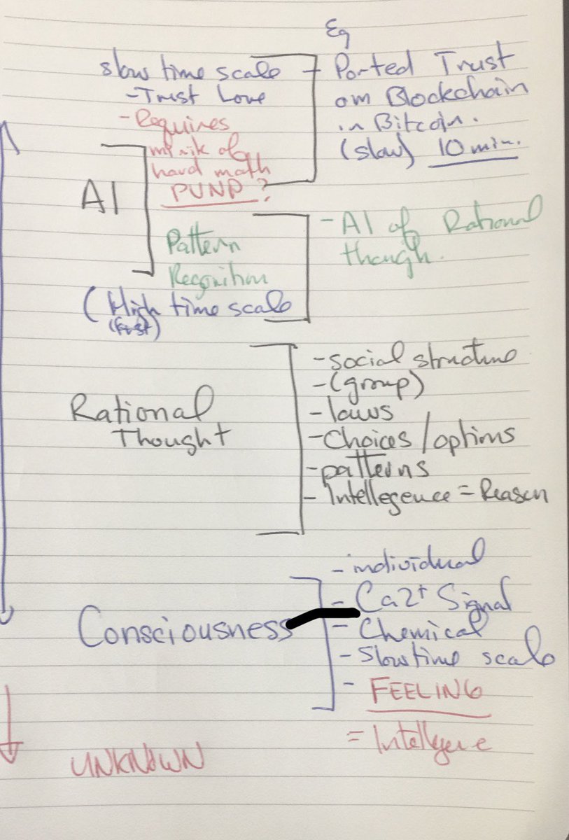 matettore's tweet photo. You have two competing time preferences running in parallel and evolution doesn’t care about your feelings. https://t.co/fUP5JAYK8x