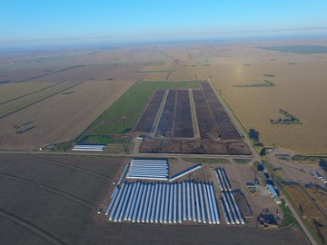 Ver imagen en Twitter