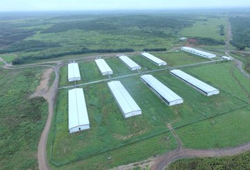 Ver imagen en Twitter