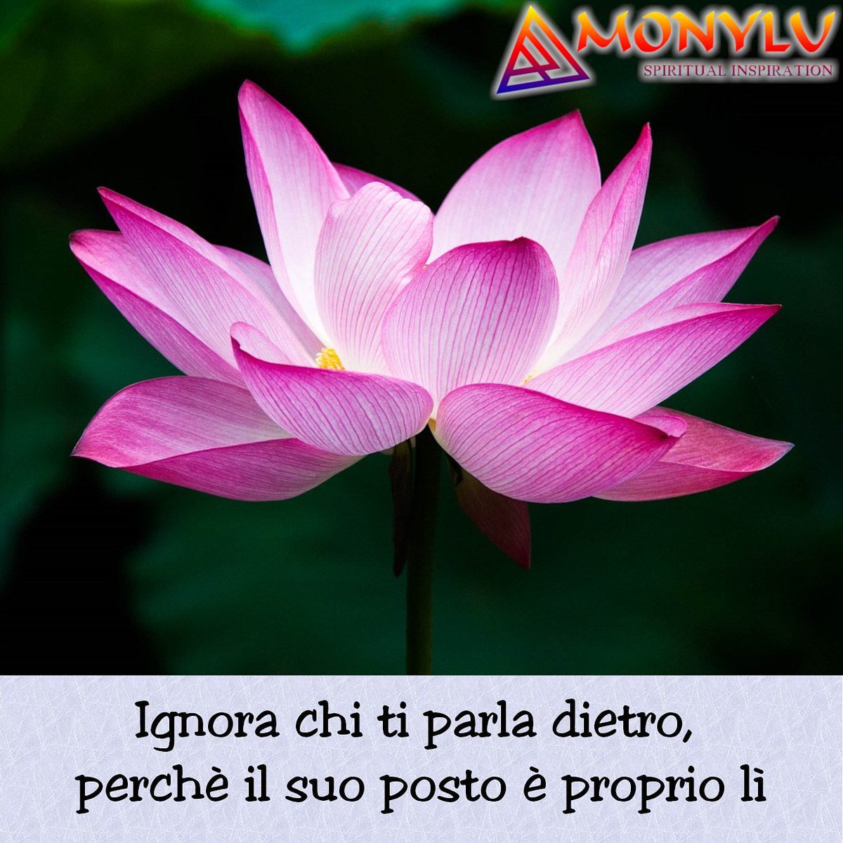 Monylu Spirit Ar Twitter Crescitapersonale Cambiamento Psicologia Crescita Motivation Ispirazione Formazione Aforismi Felicita Vita Frasedelgiorno Autostima Benessere Citazioni Life Pensieri Frasimotivazionali Lifestyle Ottimismo