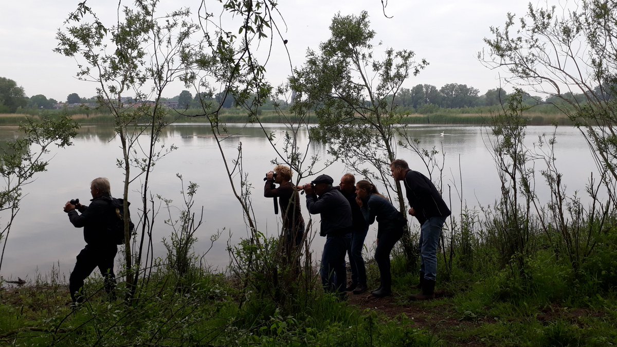 @MooiWageningen <a href="/feteNL/">Fête de la Nature</a> Excursies #Wageningen afgelopen zondagochtend. Blauwborst, torenvalk, cetti's zanger, bosrietzangers, kwartel en weet-ik-het. Stierenkuilen en niet-dynamische riviernatuur. Beverburcht en -pijp. Voor iedereen wat wils in de uiterwaarden. Hier een ijsvogel.