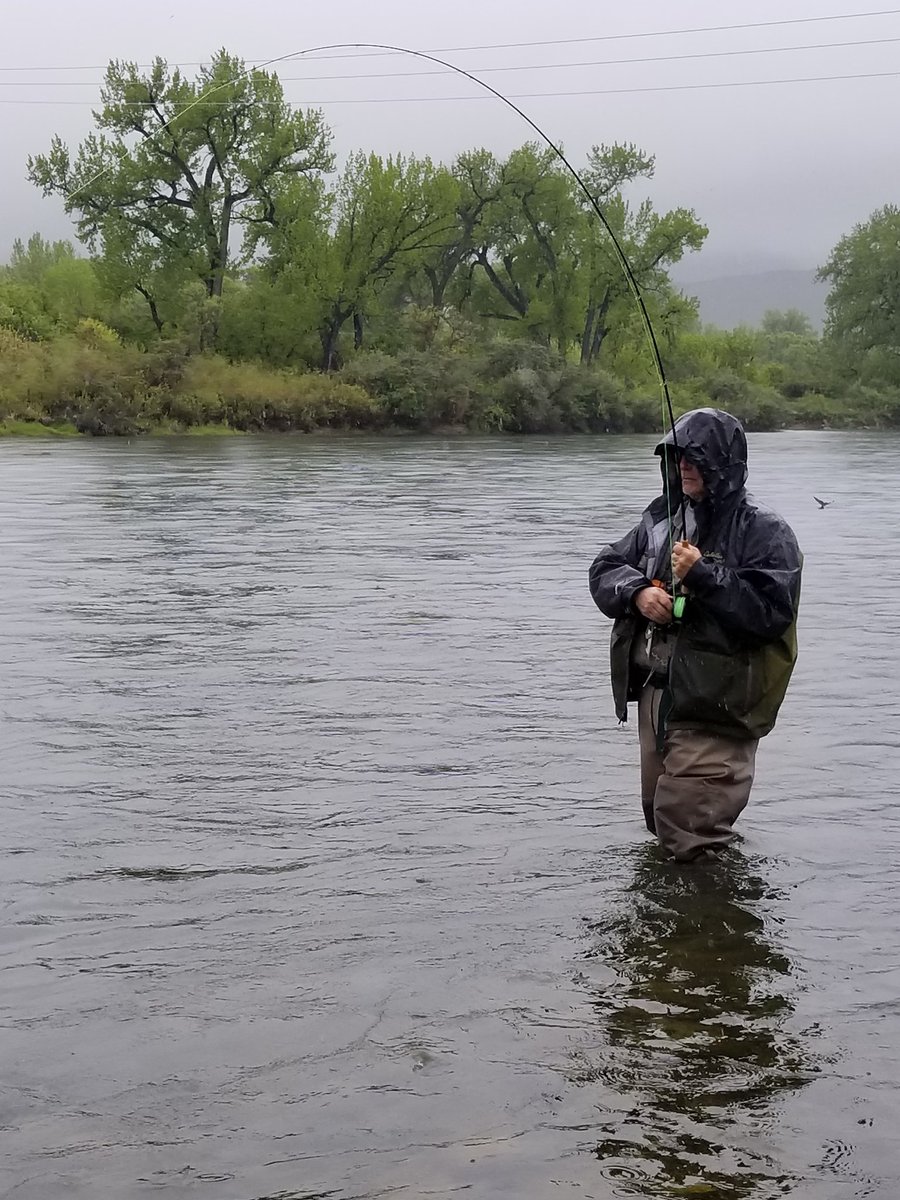 PFWildBio's tweet photo. Day 1 was a success! The rain set us back, but we got on the water and caught some fish! #bighorn #flyfishing https://t.co/LGnzQeEabP
