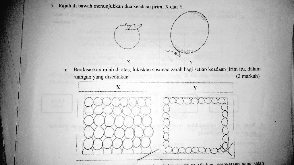 wafi_mariana's tweet photo. Cepat ngaku siapa yang jawab ni.... ๐๐๐
#sambestari https://t.co/0gSYlFtxcg