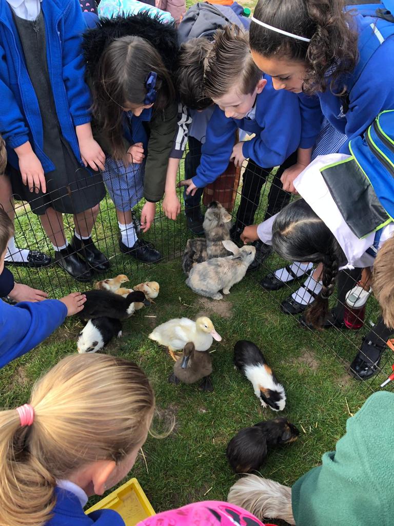 Hoe you're children enjoyed meeting the animals from the visiting farm last term  sponsored by Nelson PTA