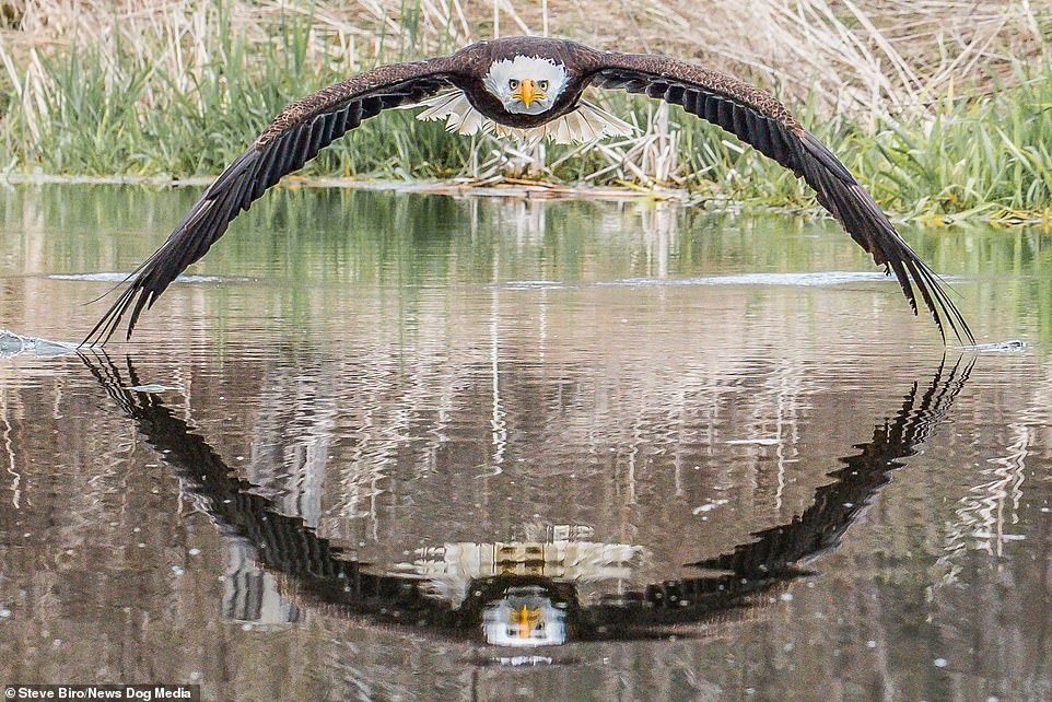 radiostephen's tweet photo. Is this the best nature photo ever?

WOW!!!!!!! https://t.co/UZOdLzmfQI