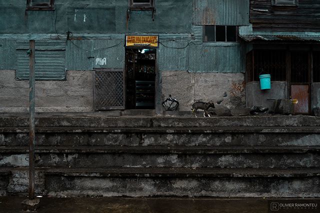 oramonteu's tweet photo. Barlig, le village dans les nuages.
---
#philippines #travel #filipina #travelgram #instatravel #travels #traveler #streetphotography #travelstagram #traveling #explore #adventure #adventures #lifeofadventure #barlig #grey #dog #lifeofadventure #sonya7ii… https://t.co/T3ObXSKQJh https://t.co/LgqTtHhEm0