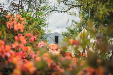 berthasrevenge's tweet photo. Tickets selling fast for our special bank hols @oldbutterroads #BerthaSessions this coming Sat 1st June. We have glamping units available if you would like to stay over. Details and bookings on link:
https://t.co/KvdSSHHUAl https://t.co/LDY1dRHSL2