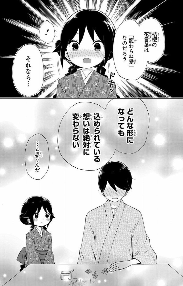 破れた桔梗に込めた想い④ 