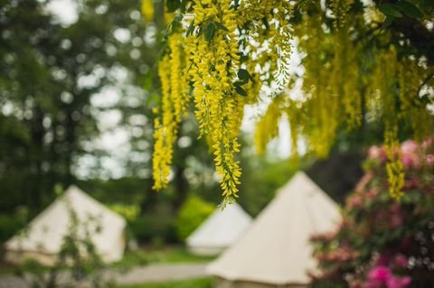 ballyvolanehse's tweet photo. Tickets selling fast for our special bank hols 
@oldbutterroads
 #BerthaSessions live music &amp; supper this coming Sat 1st June. We have glamping units available if you would like to stay over. Details and bookings on link: https://t.co/5RAGFnde9p https://t.co/N8vyirIaWW