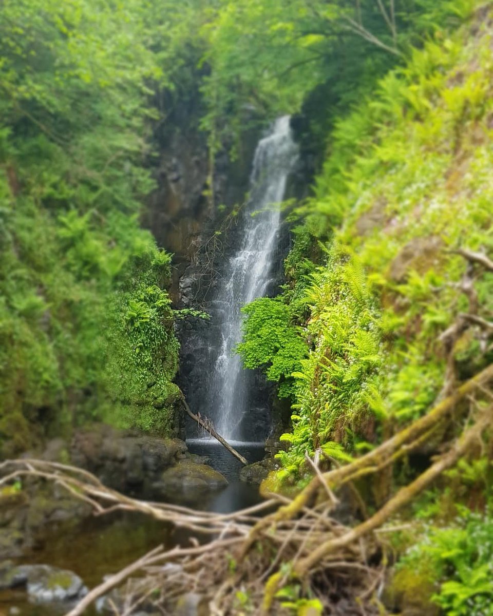 natureheals17's tweet photo. Lovely time away in Carnlough. 
#CrannyFalls #Waterfootbeach #Carnloughharbour #BankHolidayWeekend
@Love_Antrim @angie_weather @belfastlad @barrabest @newslineweather @WeatherCee @ILoveNorthCoast @LoveNI @DiscoverNI @CausewayGlens @CapturedIreland https://t.co/O9Xm4dkTJc