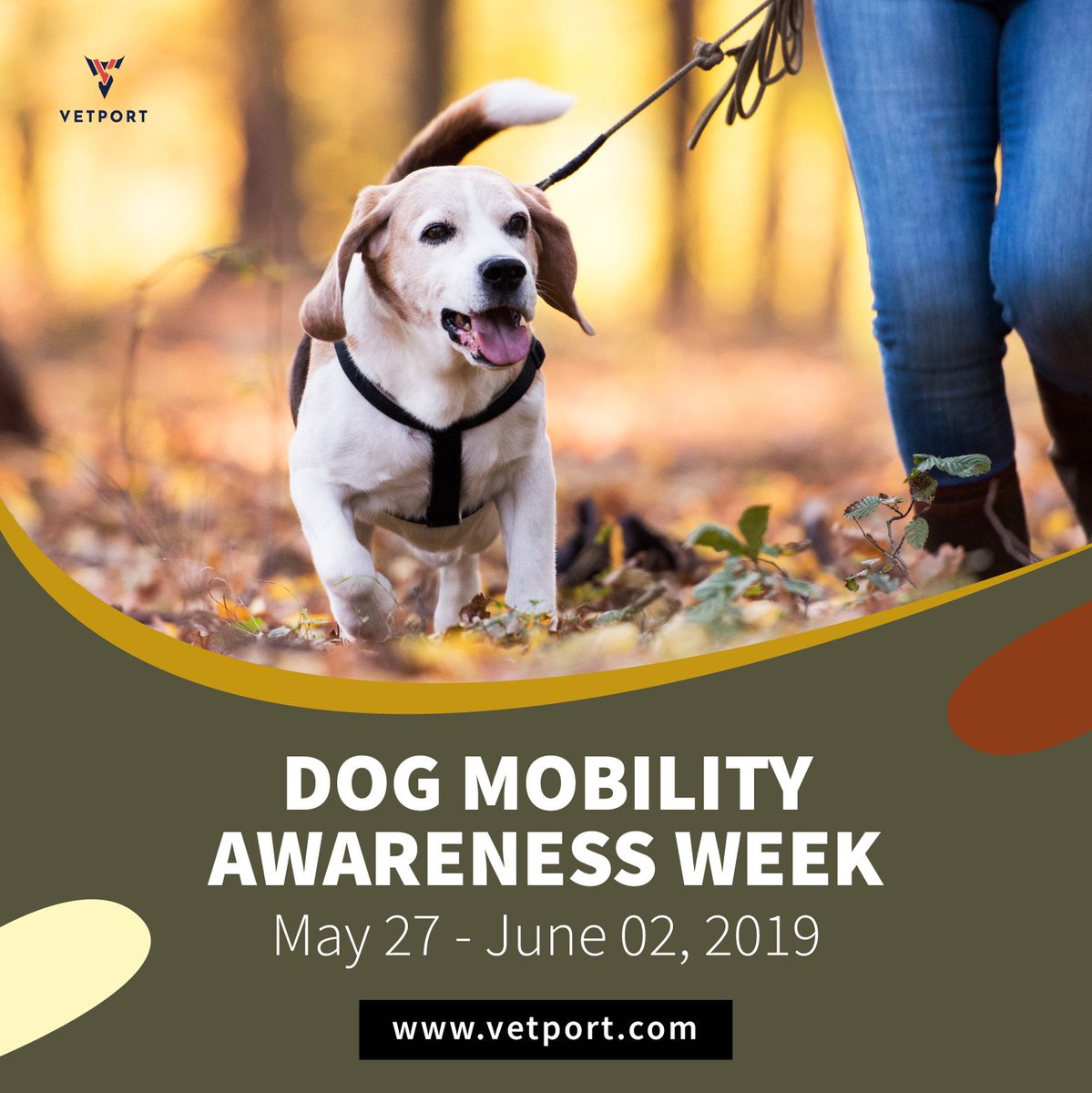 National Dog Mobility Awareness Week - May 27 - June 02, 2019

Get 30 Days Free Trial: vetport.com/free-trial     

#TuesdayThoughts #TuesdayMotivation #pets #veterinary 
#veterinarian #petcare #petlovers #CloudComputing