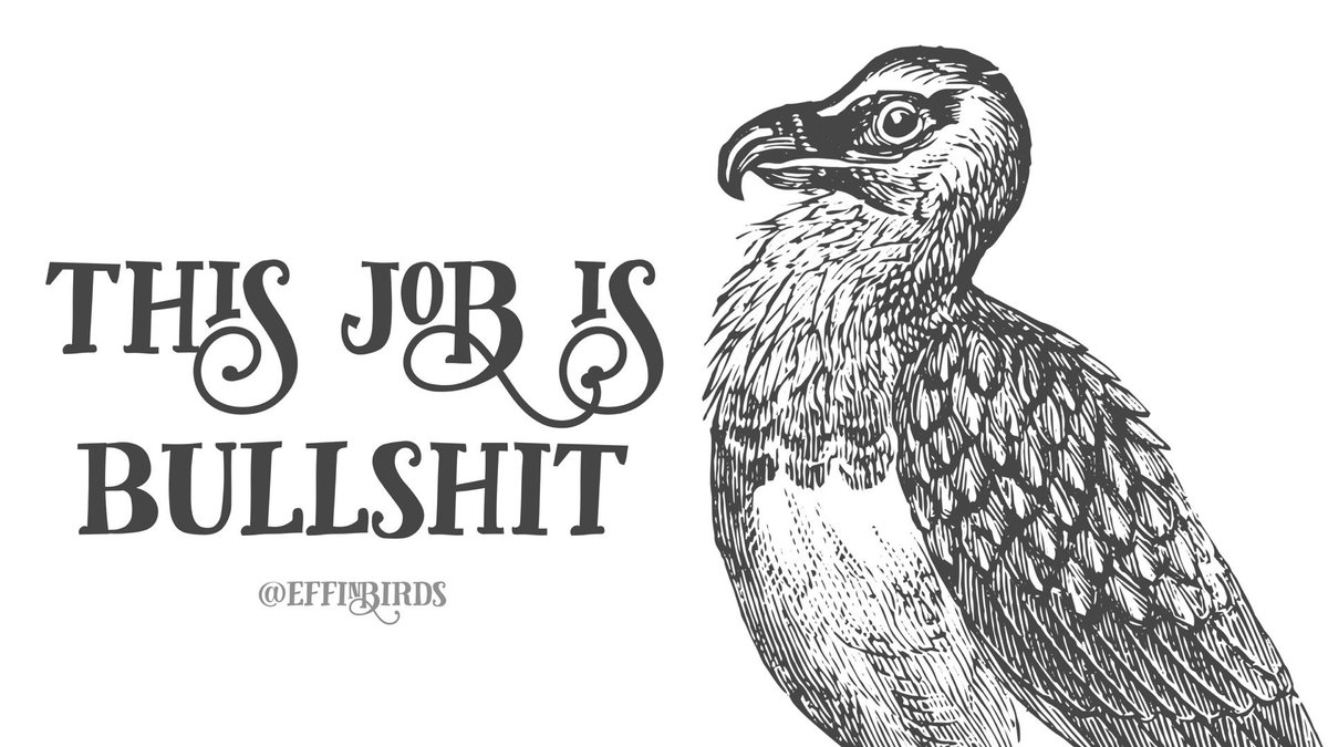 EffinBirds's tweet photo. https://t.co/HDglMXdMgo