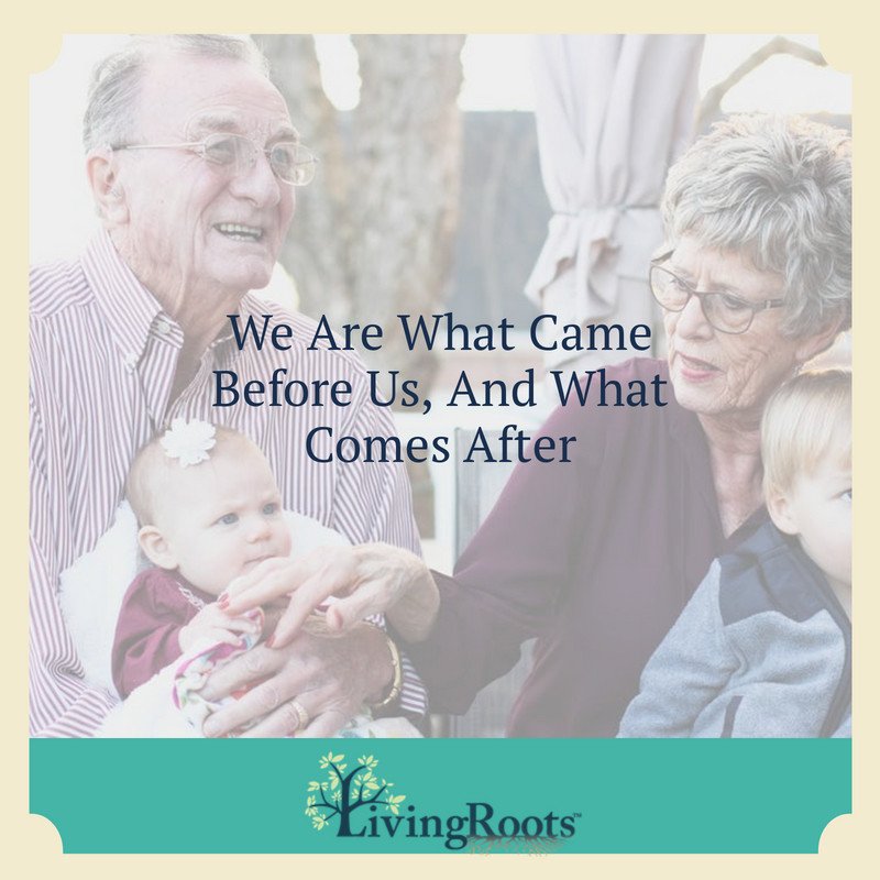 LivingRoots tweet media