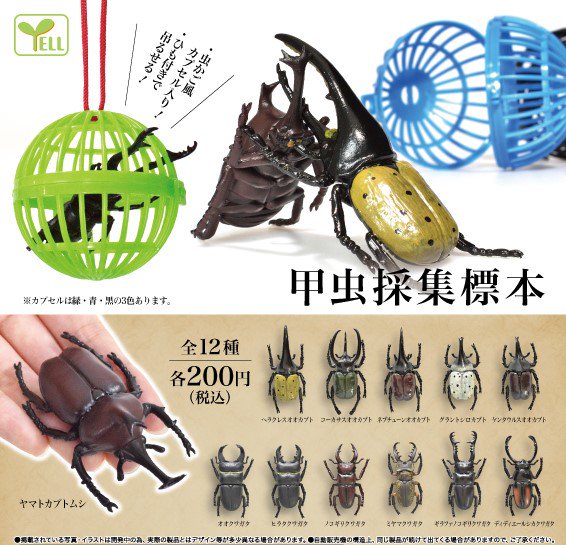 エール カプセルワールド 公式 ５月発売の商品ご紹介 ５月中旬より発売 甲虫採集標本 甲虫ファン必見 とってもリアル 見た目だけじゃなく大きさも大満足の甲虫フィギュアです 虫カゴ型のカプセルで出てくるのも面白いポイント