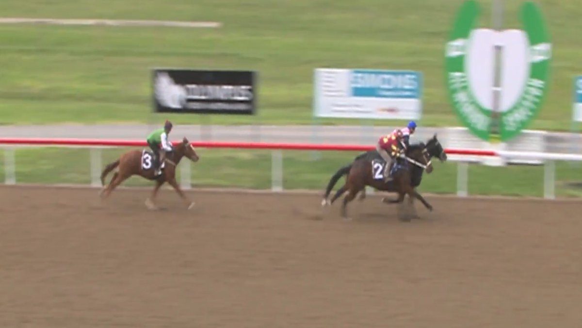 <a href="/Snap3434/">Matthew Reid</a> will be happy to see <a href="/SiggyCarr/">Siggy Carr</a> back in form at Devonport trials this morning bringing up a winning treble on Huon Chief 🤣 #droughtisover #openthefloodgates