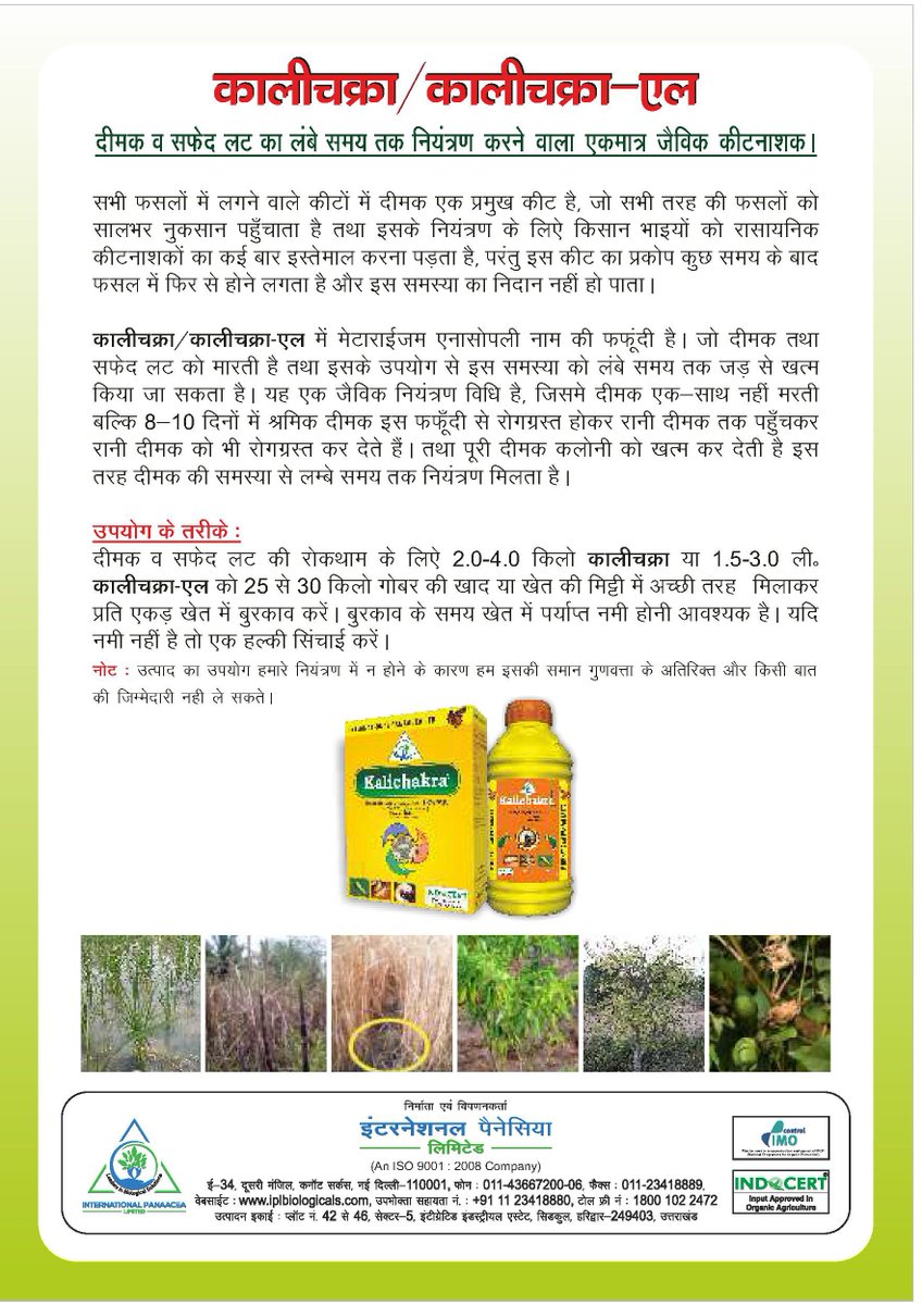 IPLBiologicals's tweet photo. Use & benefits of our #Biological product #Kalichakra (Metarhizium anisopliae) in various #crops
#organicfarming #agriculture #vegetables #fruits #sustainablefarming #farmers @IPLBiologicals https://t.co/SVpDvbXRc0