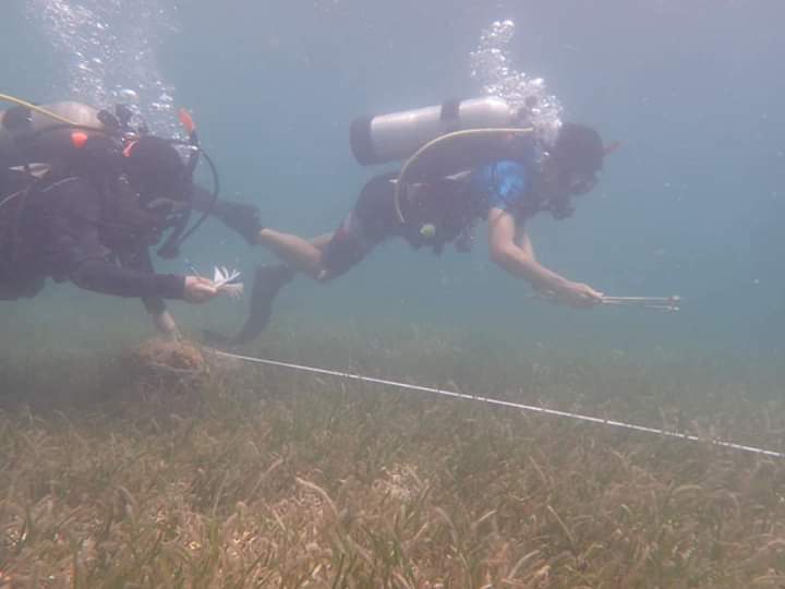 SSRU_PSU's tweet photo. Our dear lab member @JMayakun is at Dongsha #Atoll #NationalPark investigating #Halimeda. We are so grateful for this opportunity. 
#Taiwan #seaweed #algae #carbon https://t.co/DUHMsXGTgZ