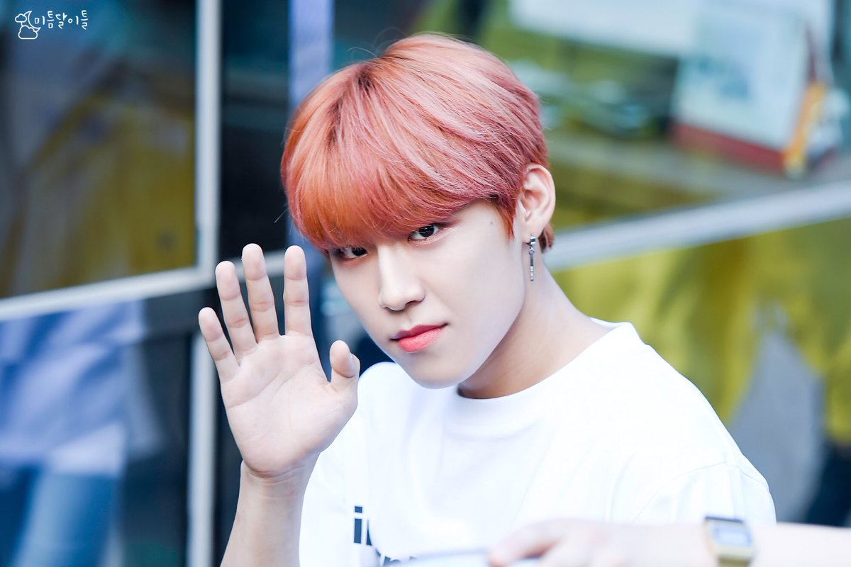 미틈달 이틀☪︎ tweet media