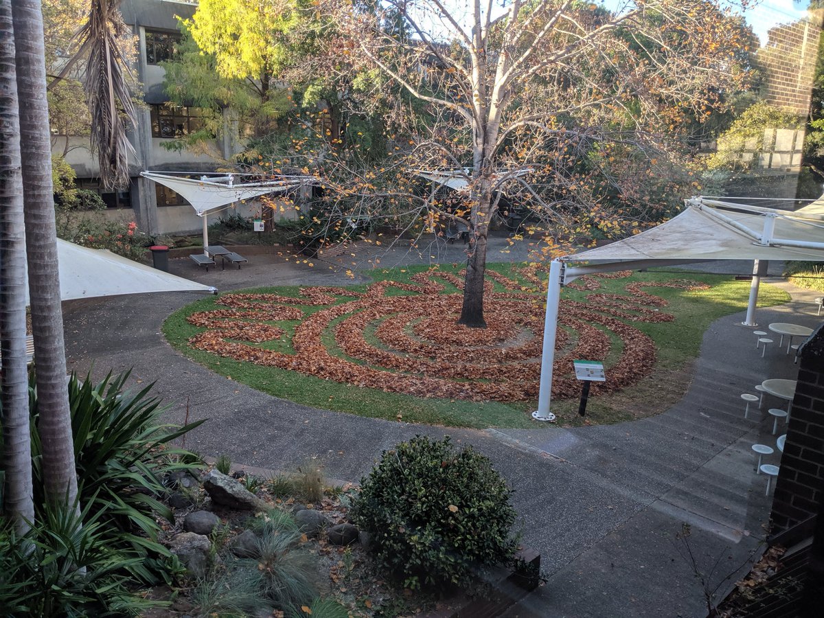 Dr. Christie (@christiewithac) on Twitter photo Respect for the perseverance of the anonymous leaf artist who created this not once, but twice, due to strong winds! Beautiful to admire from our building <a href="/MQSciEng/">Science and Engineering @ MQU</a> <a href="/MQMolSci/">Molecular Sciences @Macquarie University</a> @MQBiology #autumn Respect for the perseverance of the anonymous leaf artist who created this not once, but twice, due to strong winds! Beautiful to admire from our building <a href="/MQSciEng/">Science and Engineering @ MQU</a> <a href="/MQMolSci/">Molecular Sciences @Macquarie University</a> @MQBiology #autumn
