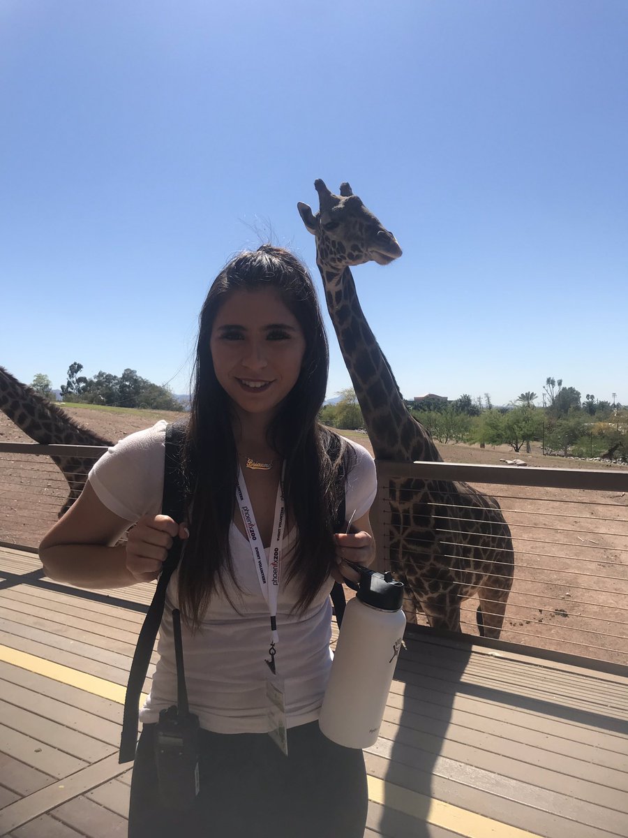 briannaungaro's tweet photo. Been thinking about these giraffes a lot lately https://t.co/gytdjEaqmW