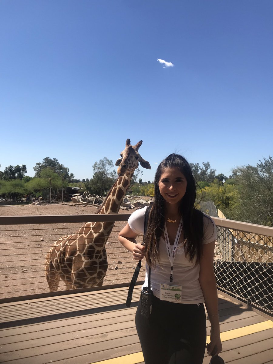 briannaungaro's tweet photo. Been thinking about these giraffes a lot lately https://t.co/gytdjEaqmW