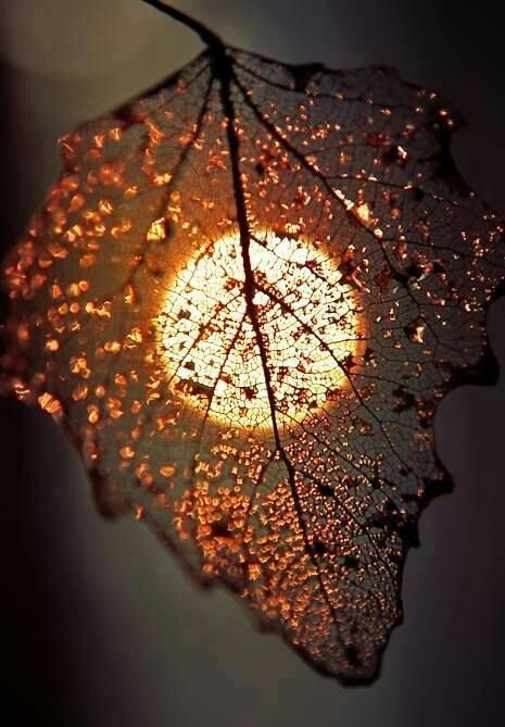 Daniela33275774's tweet photo. Linda noche 😊😊 https://t.co/kDU8Wky5va