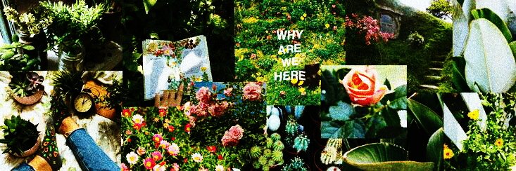 bienotbee_'s tweet photo. ββ. Yein Aesthetic Pack
β.β β Aesthetic pack by me a.k.a Bie β
β.βγRt/Fav if u want to save or use it γ
β.β β° U can Request in DM β±
.
.
.
#yein #lovelyz #yeinpacks #yeinaesthetic #yeinicons #kpop #yeinlovelyz #lovelyzpacks
#aestheticpack #aesthetic #ppheader #icons https://t.co/2XhAp8Bbn4