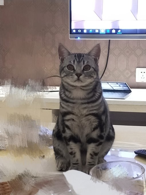 Twitterのコスプレ画像5