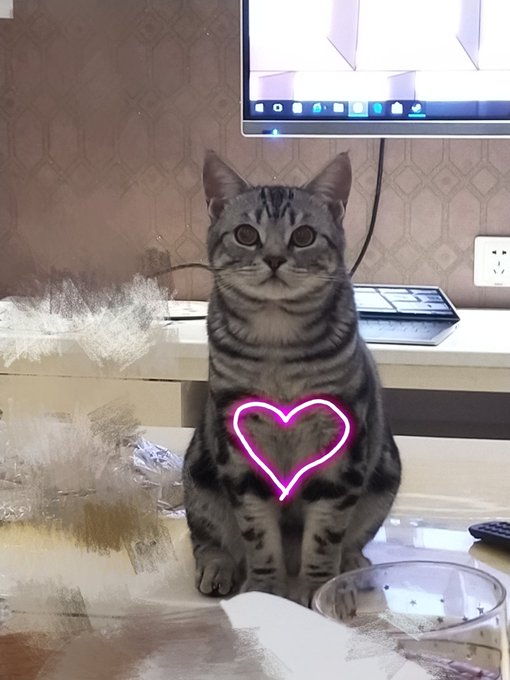 Twitterのコスプレ画像6