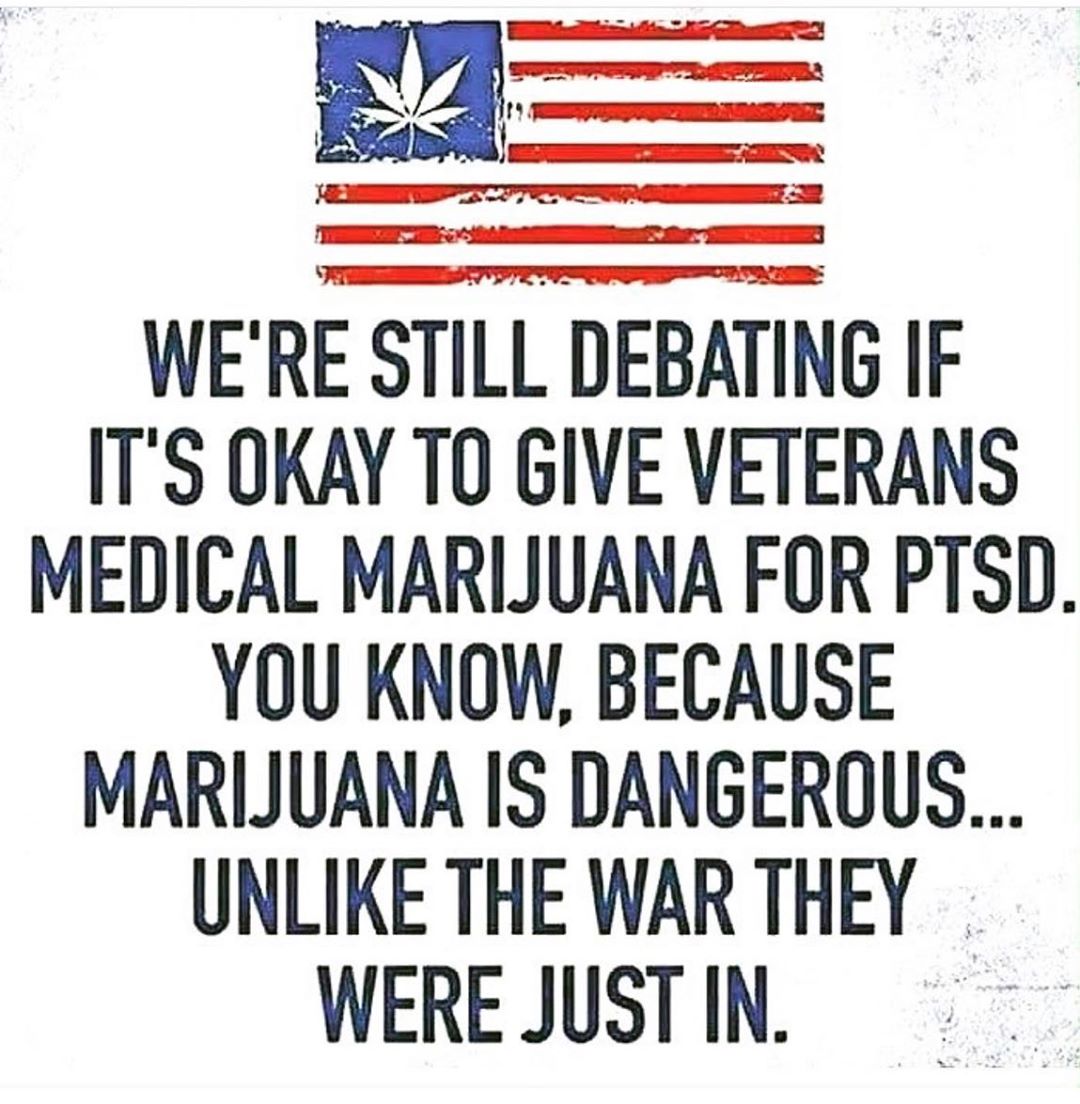 Facts war has killed more people than #marijuana Remembering all the soldiers on #memorialday that have lost their lives for our #freedom So let’s take back that freedom the government keeps slowly taking!! #legalizemarijuana #medicalmarijuana #itsaplant #medicalfreedom #ptsd