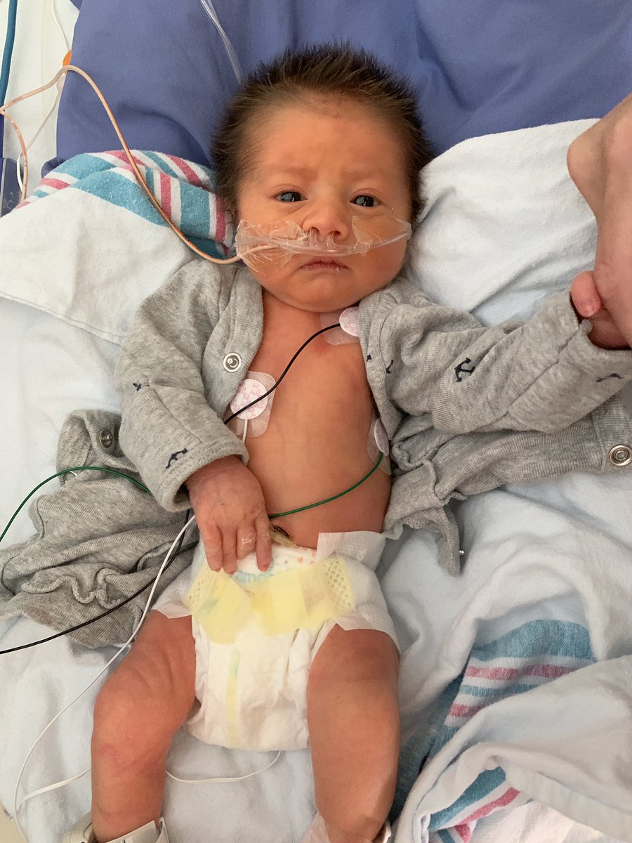 AmareeIvy's tweet photo. I have never known a love like this. 😢 I love my little premie more than life itself. I can’t wait to bring you home from the hospital. 😭💕 https://t.co/uObfFkTGSs