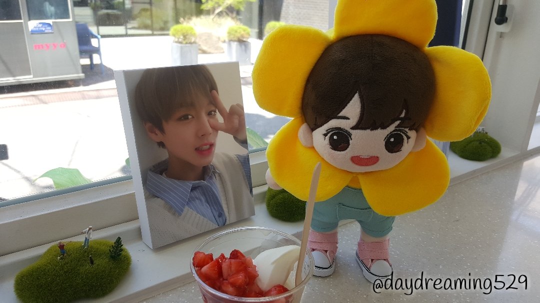daydreaming529's tweet photo. 지훈이 싸인이 추가되었다기에 재방문한 #myyo
 오늘은 한송이 꽃같은 윙2호와 함께💕

#박지훈 #PARKJIHOON #지훈아생일축하해 
#2019_로맨틱지훈데이 https://t.co/tOJVjcvK5s