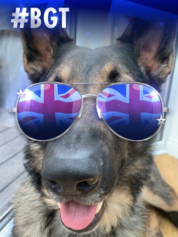 essex_crime's tweet photo. We have changed our photo to give @K9Finn @finnforchange our 100% support and all our other #PoliceDogsOfTwitter
@ERPDF
#BGT
#FinnsGotTalent
#FinnsLaw
#VoteForFinn
#Hero
#YouCanSmashThis
#ProtectTheProtectors https://t.co/EaiLyHhR5l