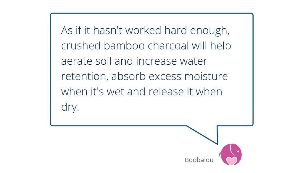 Boobalou’s Top 20 Products To Help Reduce Your Waste lttr.ai/C7l4 #plasticfree #ecofriendly #Plastic