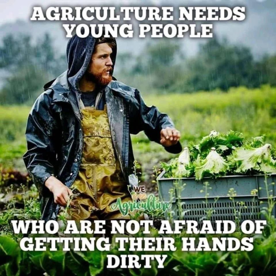 chamara (@chamaradairynz) on Twitter photo 