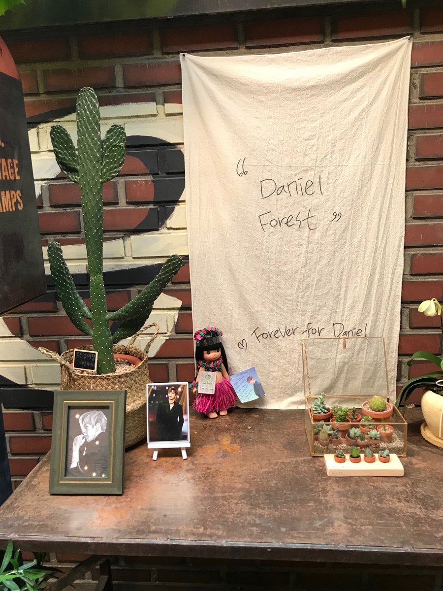 honowoowoo's tweet photo. 🌴😎OMG I can't believe I'm actually here at Daniel's Forest in Picky Pappa! Brought my Hawaii doll to leave here!😎🌴 https://t.co/45KepJZ4Gk